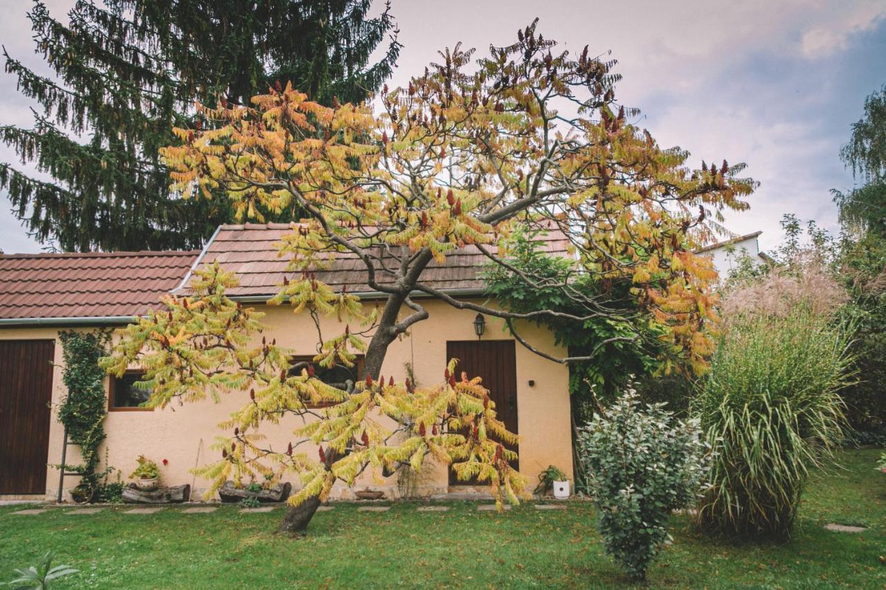 Pannonia Apartment Göd Exterior foto